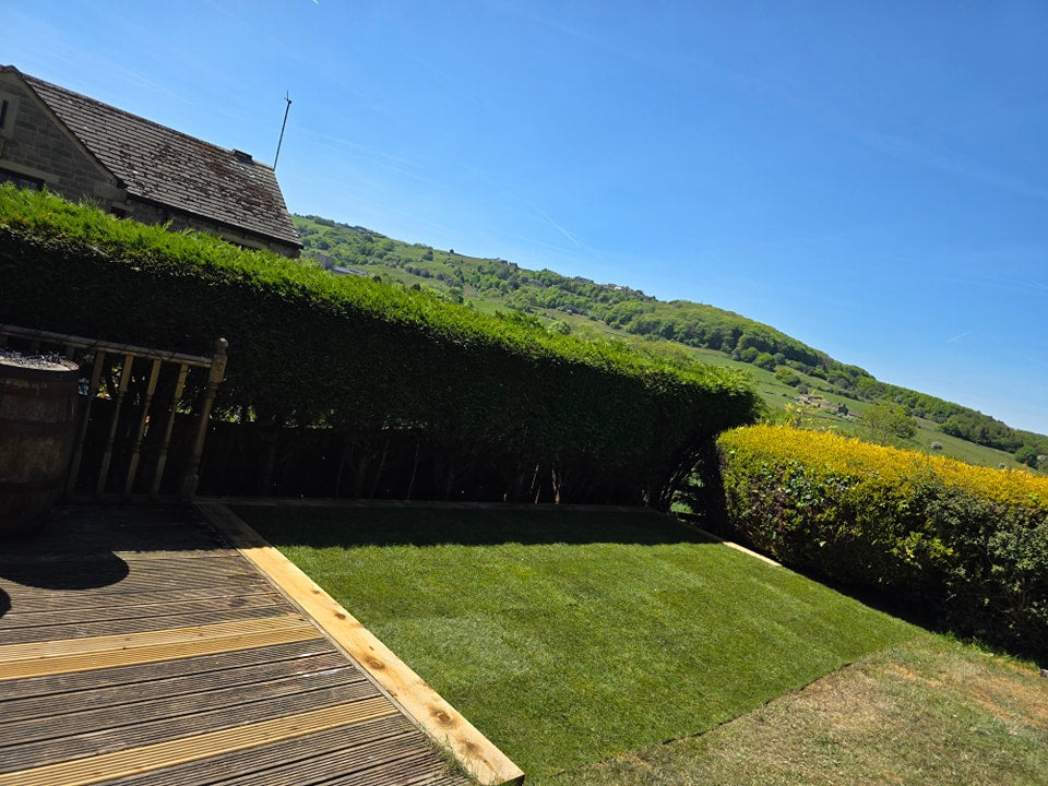 Lawn beside timber decking and planted borders